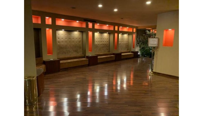 Atlas Zamalek Hotel poza 0