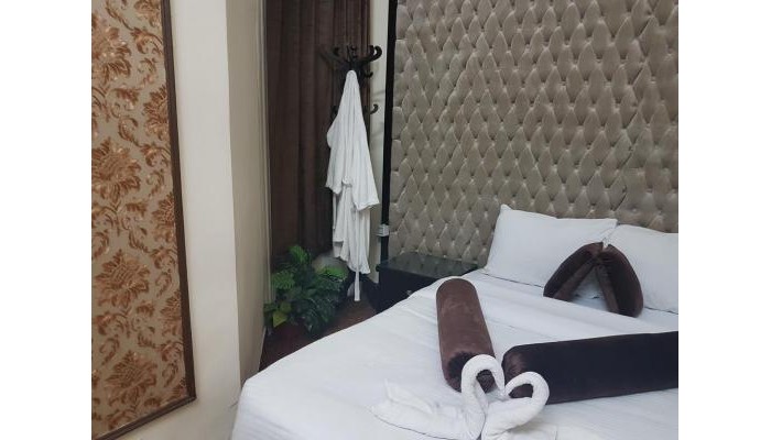 Cairo Paradise Hotel poza 0