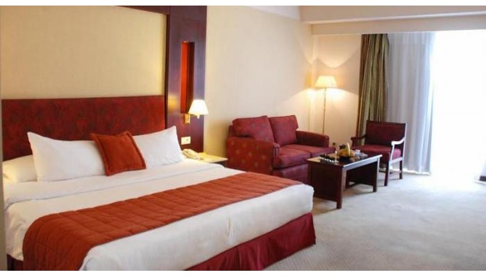 Hotel Safir Cairo poza 6