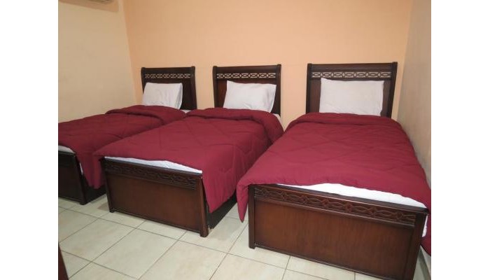 Vienna Hotel Cairo poza 7