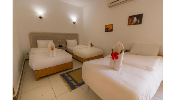 Acacia Dahab Hotel poza 16