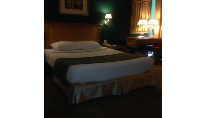 Hotel Amarante Pyramids poza 12