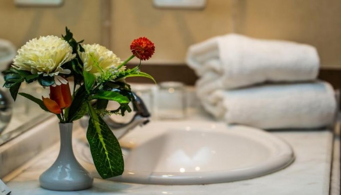 Jasmine Palace Resort & Spa poza 8