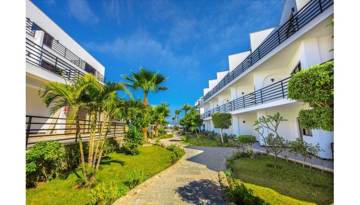 Hotel La Rosa Waves Beach poza 4