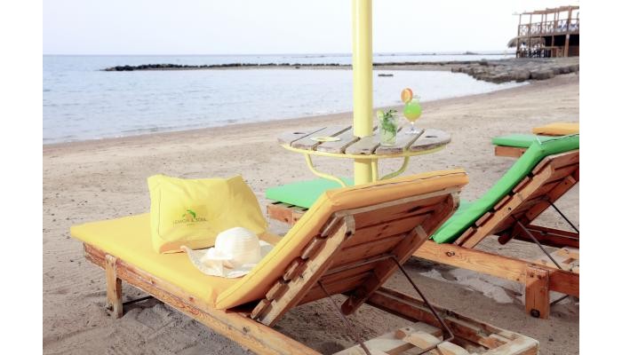 Hotel Lemon & Soul Makadi Garden poza 13