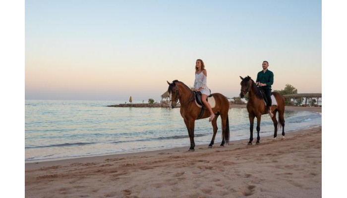 Poza pentru Hotel Mercure Hurghada 6183-1663745853 Hotel Mercure Hurghada poza 12