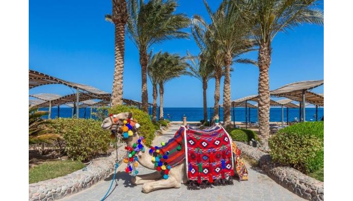 Sphinx Aqua Park Beach Resort poza 30