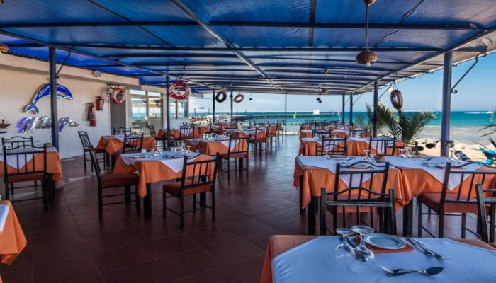 Poza pentru Desert Rose Resort 527-1510154883 Desert Rose Resort poza 4