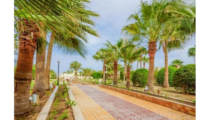 Empire Beach Resort Aquapark poza 19