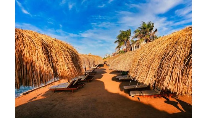 New Eagles Downtown Zahabia Resort & Aqua Park poza 17