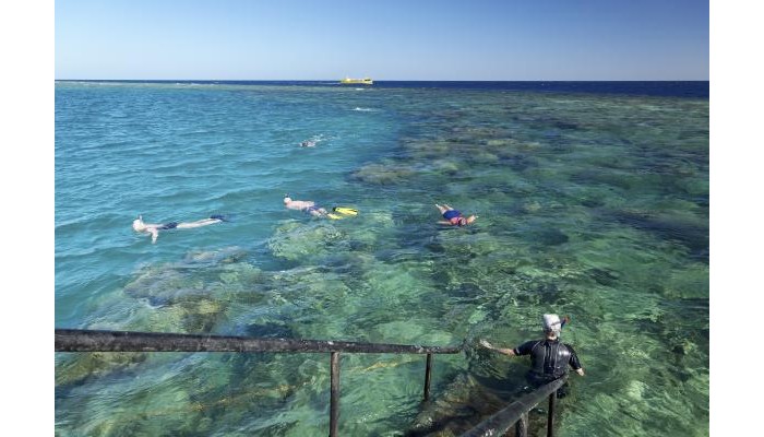 The Three Corners Fayrouz Plaza Beach Resort poza 13