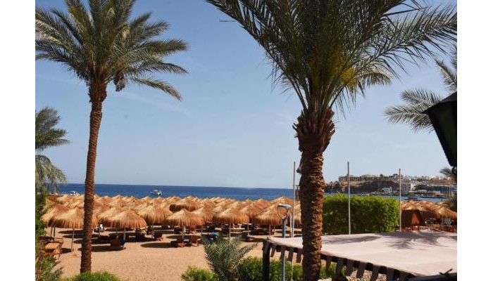 Ghazala Beach Hotel poza 19