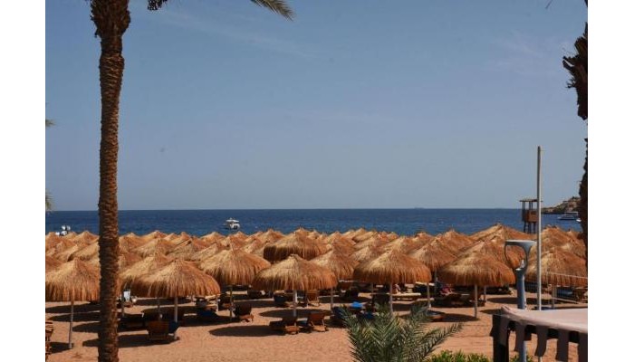 Ghazala Beach Hotel poza 18