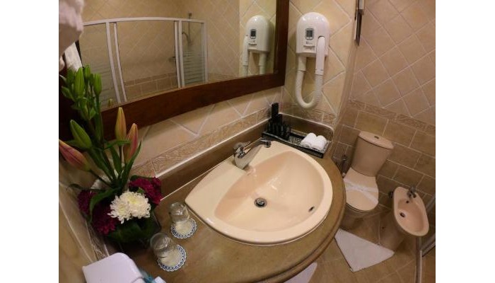 Poza pentru Hotel Oriental Rivoli 9412-1699282484 Hotel Oriental Rivoli poza 11