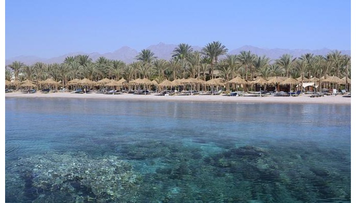 Poza pentru Hotel Jaz Sharm Dreams 6164-1568900890 Hotel Jaz Sharm Dreams poza 5
