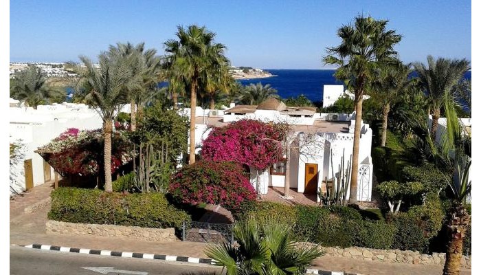 Hotel Domina Coral Bay Harem poza 0