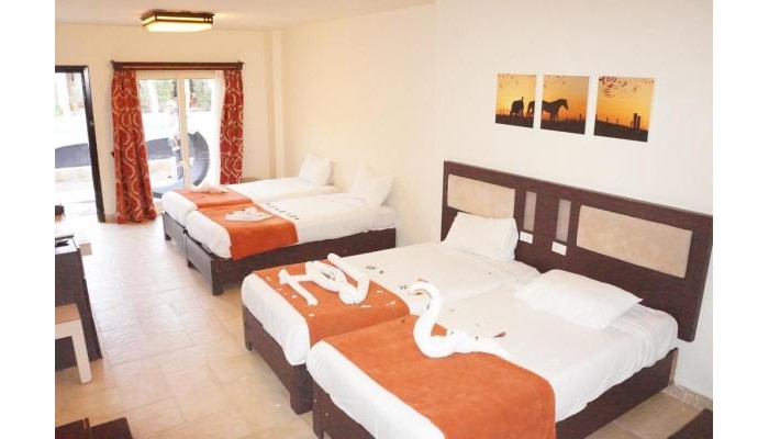 El Hayat Sharm Resort poza 4