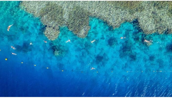 Grand Oasis Resort poza 30