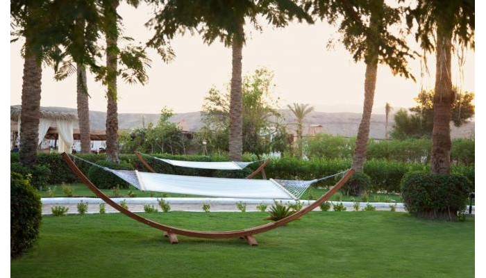 Hotel Iberotel Palace poza 23