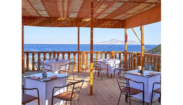 Parrotel Beach Resort poza 21