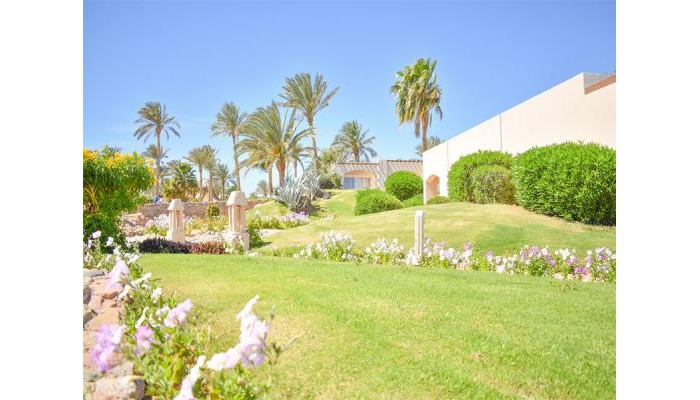 Parrotel Beach Resort poza 4