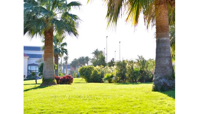 Parrotel Beach Resort poza 7