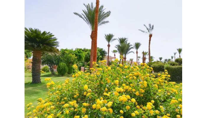 Parrotel Beach Resort poza 3