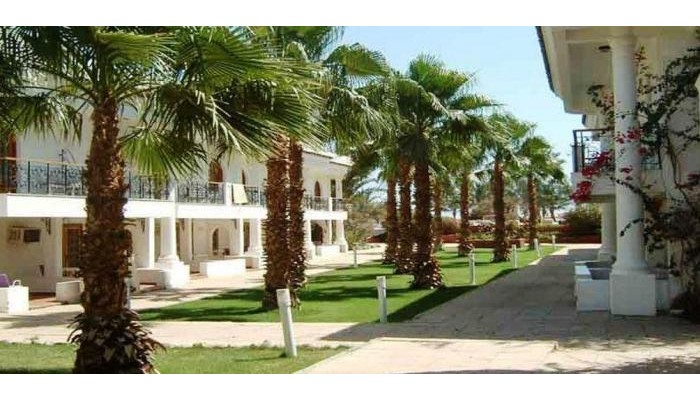 Seti Sharm Palm Beach Resort poza 2